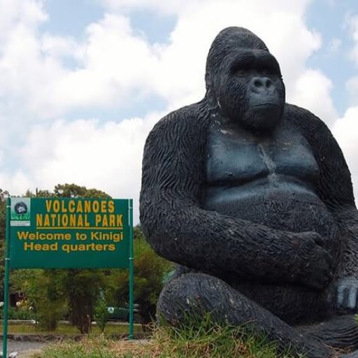 Volcanoes National Park Rwanda